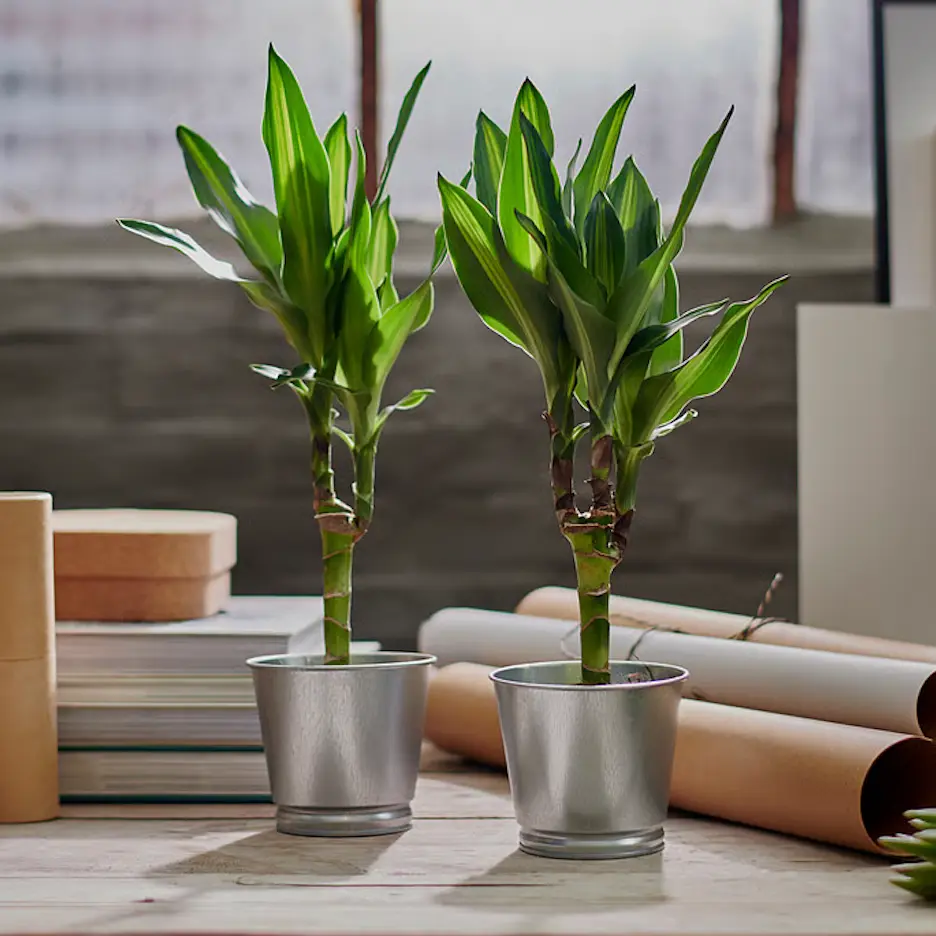 bintje-plant-pot-galvanised__0768629_pe754507_s5.webp